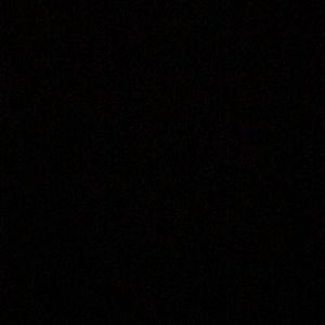 Meet your Posher, Bella